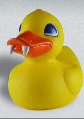 Tub toy duck